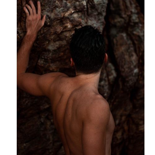 Back, Neck and Shoulder  Wax