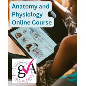 Anatomy & Physiology